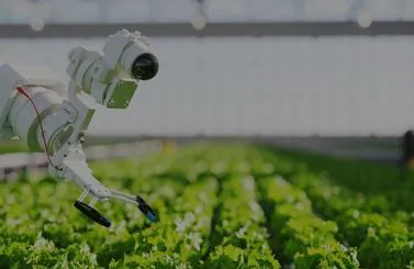 Real-time AI-powered Monitoring System